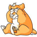 Orange Yumack