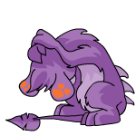 Purple Zafara