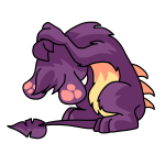 Purple Zafara