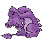 Purple Zafara
