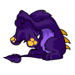 Purple Zafara