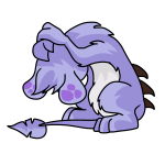 Purple Zafara