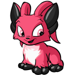 Pink Acara - (Mall)