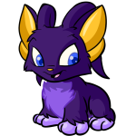 Purple Acara