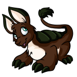 Polar Brown Bori