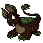 Soil Brown Bori