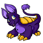 Regal Purple Bori