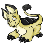 Wasp Yellow Bori