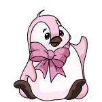 Sakura Pink Bruce