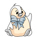 White Bruce