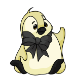Wasp Yellow Bruce