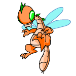 Orange Buzz