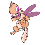 Dawn Orange Buzz