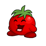 Tomato Chia