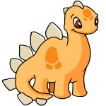 Orange Chomby - (Dreamsicle)