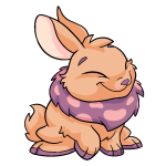 Dawn Orange Cybunny