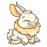 Cantaloupe Yellow Cybunny