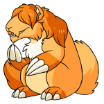 Orange Dirego