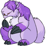 Purple Dirego