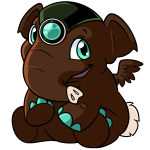Polar Brown Elephante