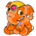 Orange Elephante