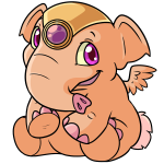 Dawn Orange Elephante