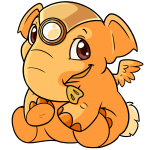 Dreamsicle Orange Elephante