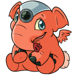 Salmon Orange Elephante