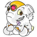 White Elephante