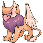 Dawn Orange Eyrie