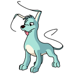 Seafoam Blue Gelert