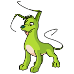 Clover Green Gelert