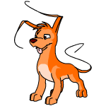 Orange Gelert