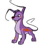 Purple Gelert