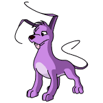 Pure Purple Purple Gelert