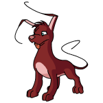 Rose Red Gelert