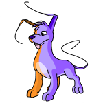 Split Gelert