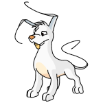 White Gelert