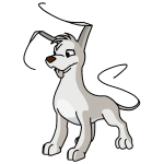 Nautilus White Gelert