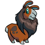Oxide Brown Gnorbu