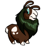 Brown Gnorbu