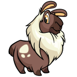 Brown Gnorbu