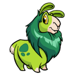 Clover Green Gnorbu