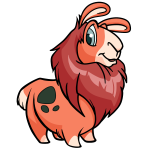 Salmon Orange Gnorbu