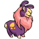 Dusk Purple Gnorbu