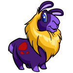 Purple Gnorbu