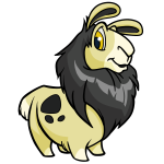 Wasp Yellow Gnorbu