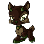 Soil Brown Ixi
