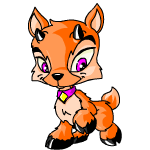 Orange Ixi