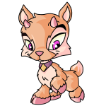 Dawn Orange Ixi